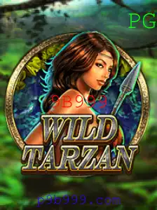 Aventura e Desafios: Desvendando o Mundo de WildTarzan
